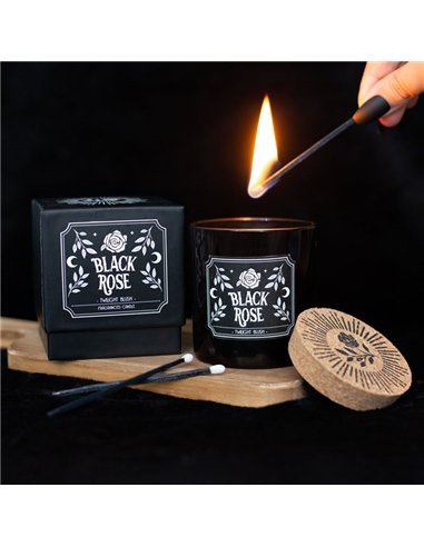 Black Rose Twilight Blush Candle MR_81123