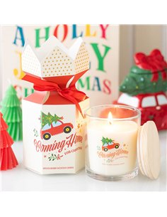 Coming Home for Christmas Spiced Berry Candle NC_11026 2