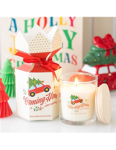 Coming Home for Christmas Spiced Berry Candle NC_11026
