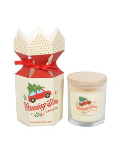 Coming Home for Christmas Spiced Berry Candle NC_11026