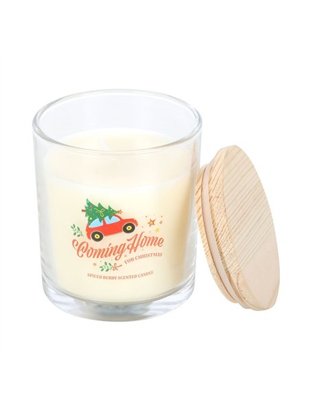 Coming Home for Christmas Spiced Berry Candle NC_11026 - pic 135497 | FastDaddyshop