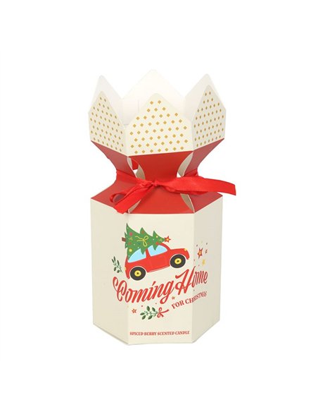 Coming Home for Christmas Spiced Berry Candle NC_11026 - pic 135498 | FastDaddyshop