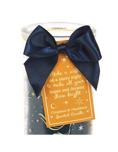 Starry Night Cinnamon & Blackberry Tube Candle NT_25126