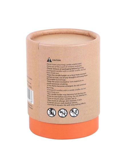 Ghostly Vanilla Candle PB_61124 - pic 135597 | FastDaddyshop