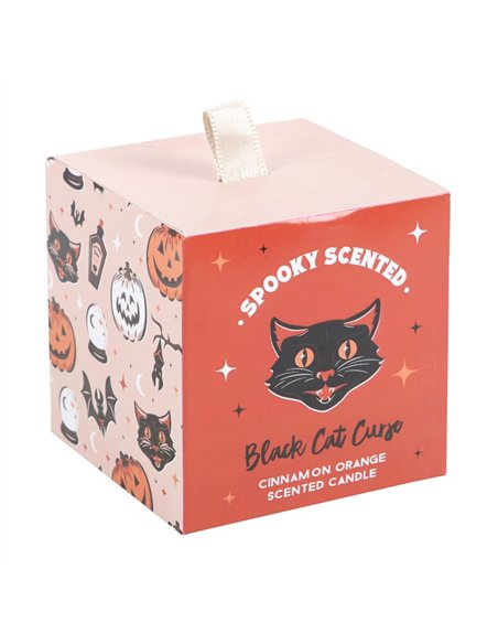 Black Cat Curse Cinnamon Orange Candle PD_52224 - pic 135624 | FastDaddyshop