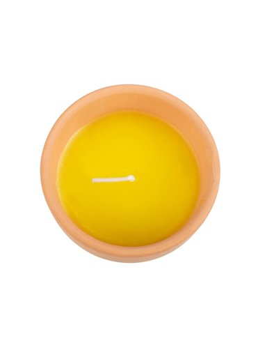 Gardener of the Year Citronella Candle PT_11224