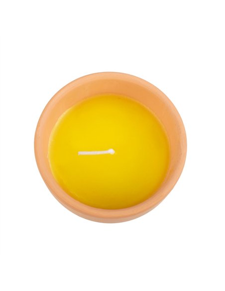 Gardener of the Year Citronella Candle PT_11224 - pic 135665 | FastDaddyshop