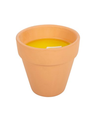 Gardener of the Year Citronella Candle PT_11224