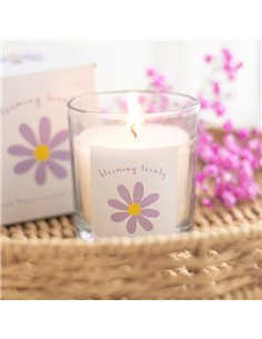 Blooming Lovely Daisy Wildflower Candle SG_40425 2