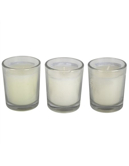 Gnome Sweet Gnome Candle Trio WF_76924 - pic 135952 | FastDaddyshop