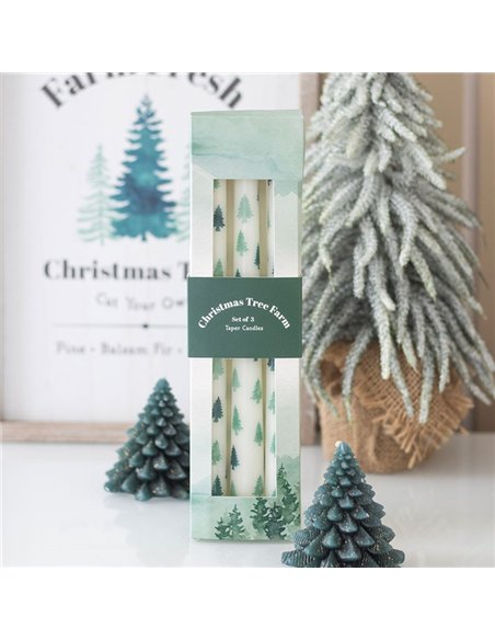 Set of 3 White Fir Tree Taper Candles WO_16326 - pic 135971 | FastDaddyshop