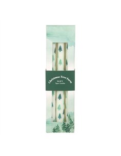 Set of 3 White Fir Tree Taper Candles WO_16326
