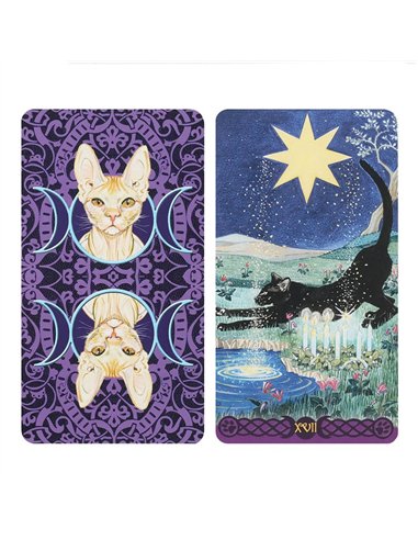 Pagan Cats Tarot Cards TC_2662H
