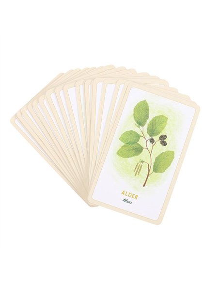 Forest Magic Oracle Cards TC_9780762485352 - pic 136105 | FastDaddyshop