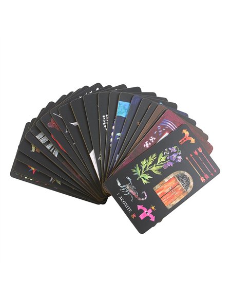 Dirt Gems Oracle Cards TC_9780762485413 - pic 136109 | FastDaddyshop