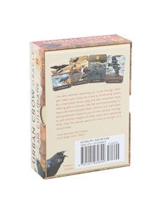 Urban Crow Oracle Cards TC_9781401969899 2