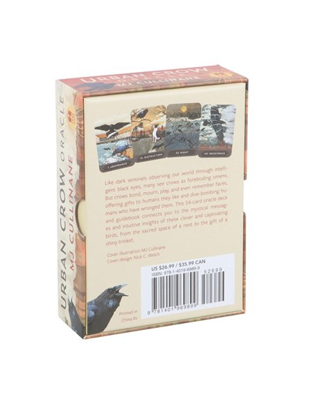 Urban Crow Oracle Cards TC_9781401969899 - pic 136159 | FastDaddyshop