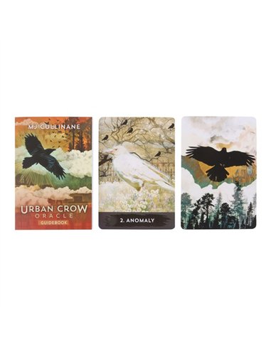 Urban Crow Oracle Cards TC_9781401969899