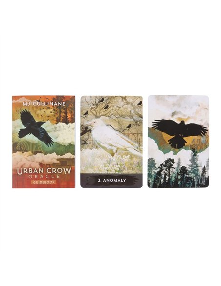 Urban Crow Oracle Cards TC_9781401969899 - pic 136160 | FastDaddyshop