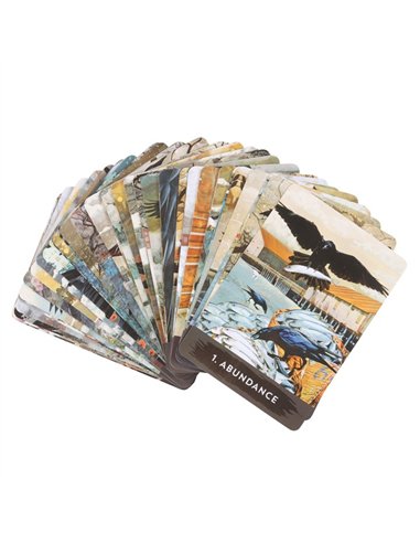 Urban Crow Oracle Cards TC_9781401969899