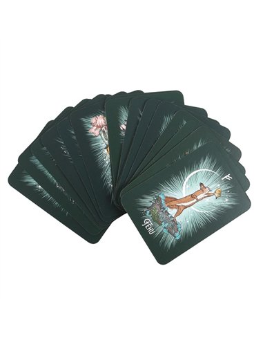 The Witch’s Familiar Runic Oracle Cards TC_9781401973155
