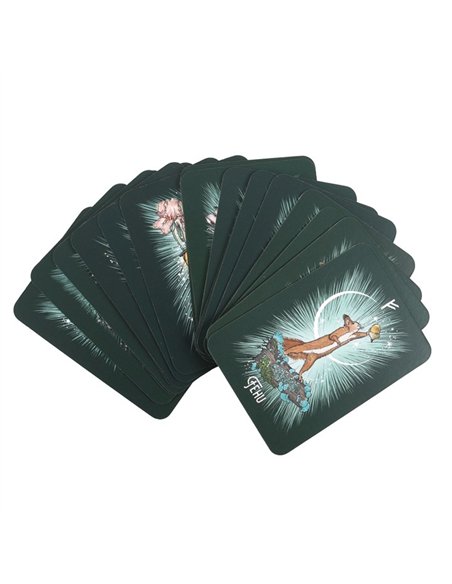 The Witch’s Familiar Runic Oracle Cards TC_9781401973155 - pic 136186 | FastDaddyshop