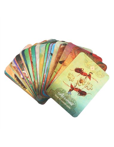 The Spirit Animal Pocket Oracle Cards TC_9781401973414