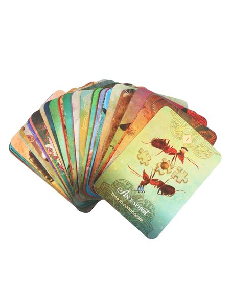 The Spirit Animal Pocket Oracle Cards TC_9781401973414 - pic 136194 | FastDaddyshop