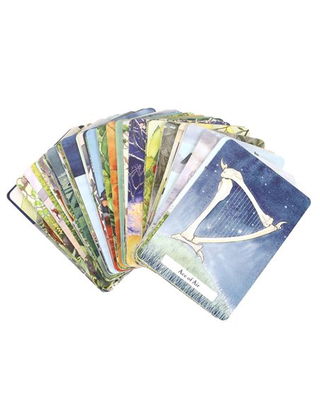 The Witches' Wisdom Tarot Cards Standard Edition TC_9781788179959 - pic 136305 | FastDaddyshop