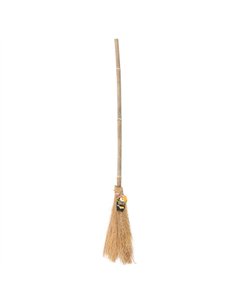 Witch's Broom 974043