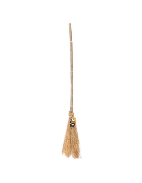 Witch's Broom 974043 - pic 136443 | FastDaddyshop