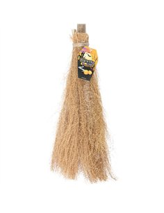 Witch's Broom 974043 2