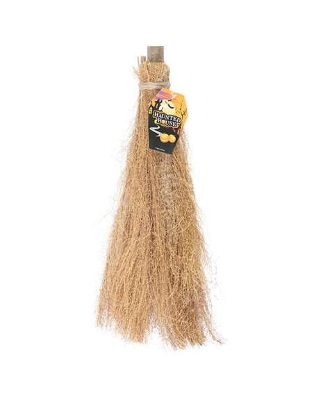 Witch's Broom 974043 - pic 136444 | FastDaddyshop