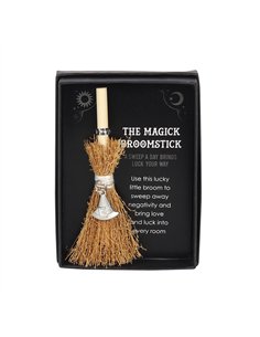 Witch Hat Mini Magick Broomstick FI_29431