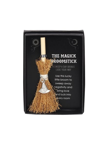 Witch Hat Mini Magick Broomstick FI_29431 - pic 136544 | FastDaddyshop