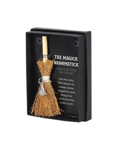 Witch Hat Mini Magick Broomstick FI_29431 2