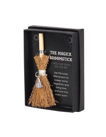 Witch Hat Mini Magick Broomstick FI_29431 - pic 136545 | FastDaddyshop
