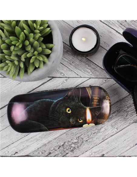 Witching Hour Glasses Case By Lisa Parker LP_12727 - pic 136662 | FastDaddyshop