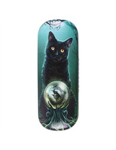 Rise of The Witches Glasses Case by Lisa Parker LP_31028