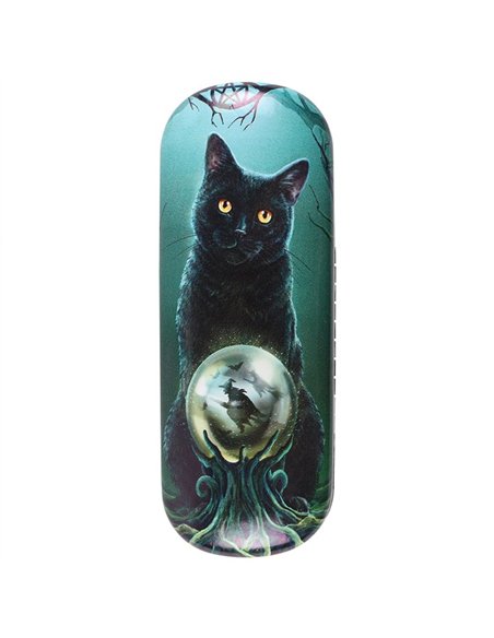 Rise of The Witches Glasses Case by Lisa Parker LP_31028 - pic 136664 | FastDaddyshop