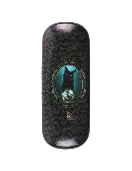 Rise of The Witches Glasses Case by Lisa Parker LP_31028 - pic 136665 | FastDaddyshop