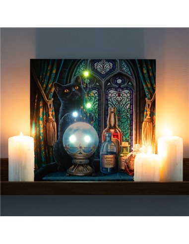 The Witches Apprentice Light Up Canvas Plaque by Lisa Parker LP_37523