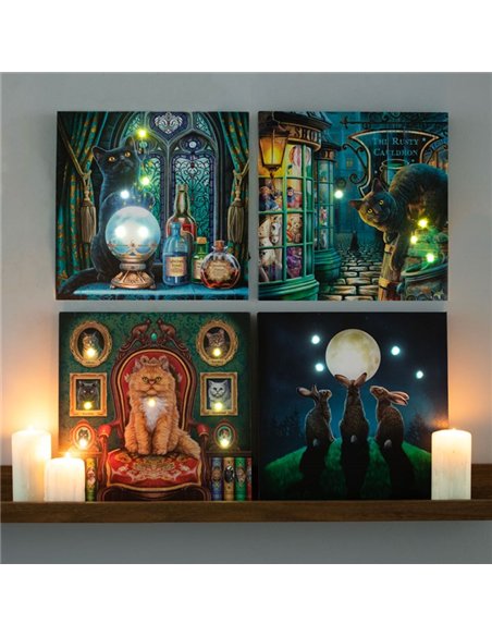 The Witches Apprentice Light Up Canvas Plaque by Lisa Parker LP_37523 - pic 136672 | FastDaddyshop