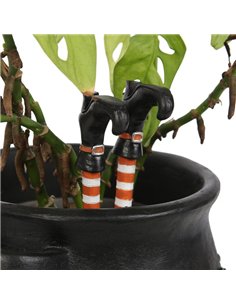 Set of 2 Witch Leg Plant Pot Ornaments WK_46223