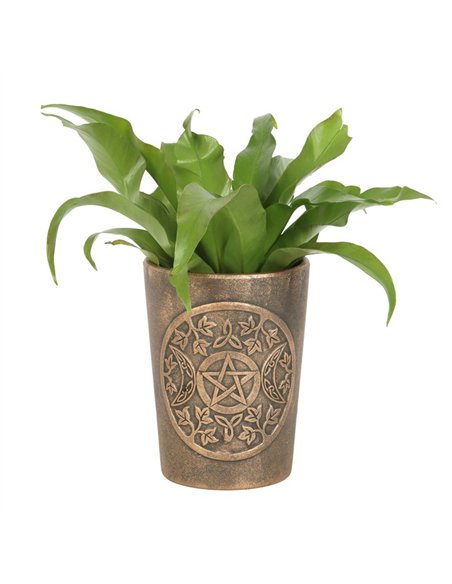 Triple Moon Bronze Terracotta Plant Pot by Lisa Parker LP_30124 - pic 136790 | FastDaddyshop
