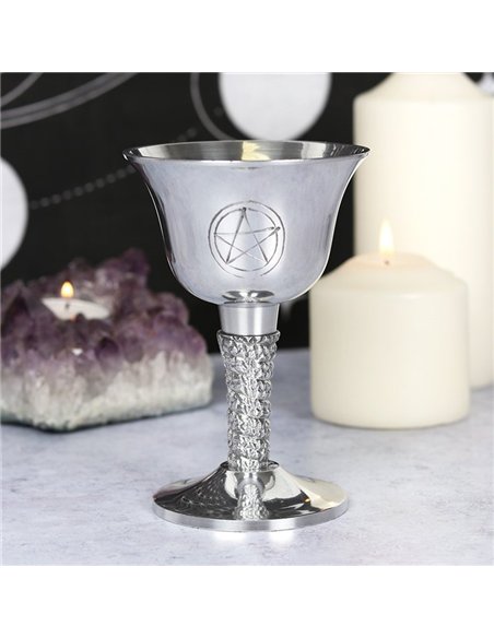 Silver Metal Pentagram Chalice GW_71838 - pic 136950 | FastDaddyshop