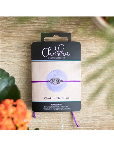 Third Eye Chakra Charm Bracelet CK_31323