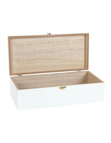 Angel Wing Memory Box  WN_81122
