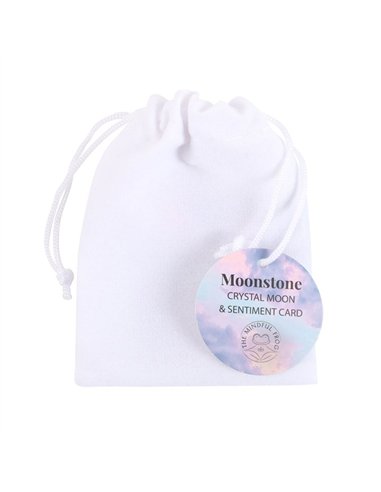 Stay Wild Opalite Crystal Moon in a Bag CE_34424
