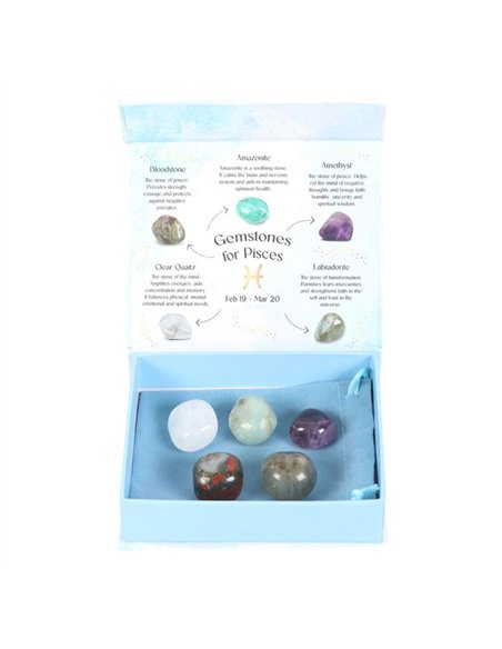 Pisces Crystal Tumblestone Set CE_93523 - pic 137628 | FastDaddyshop